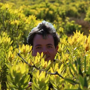 Jethro in a field of wild flowers in Cape Town